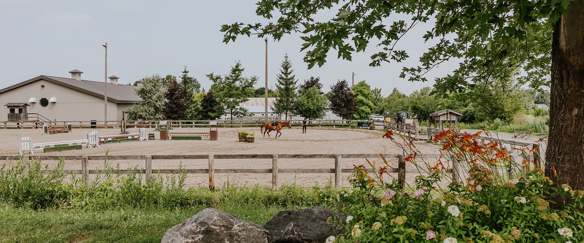 entrainement chevaux cemi
